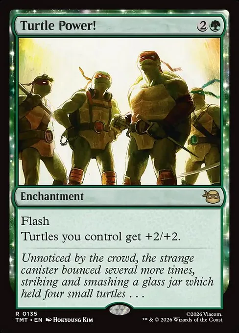 Turtle Power!