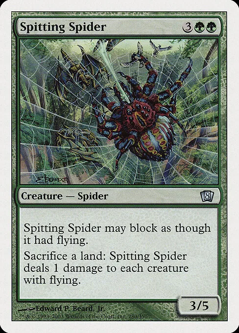 Spitting Spider